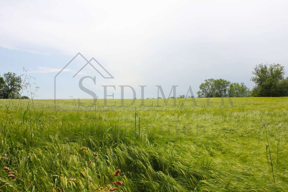 Thumbnail-Haus zum Kaufen in Seefeld 1.430.000,00 € 245 m²