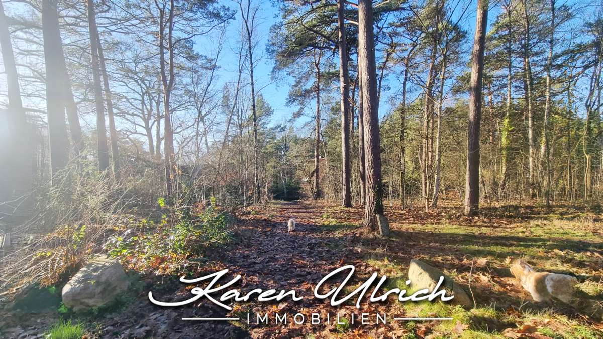 Thumbnail-Grundstück zu verkaufen in Seevetal 299.000,00 € 2583 m²