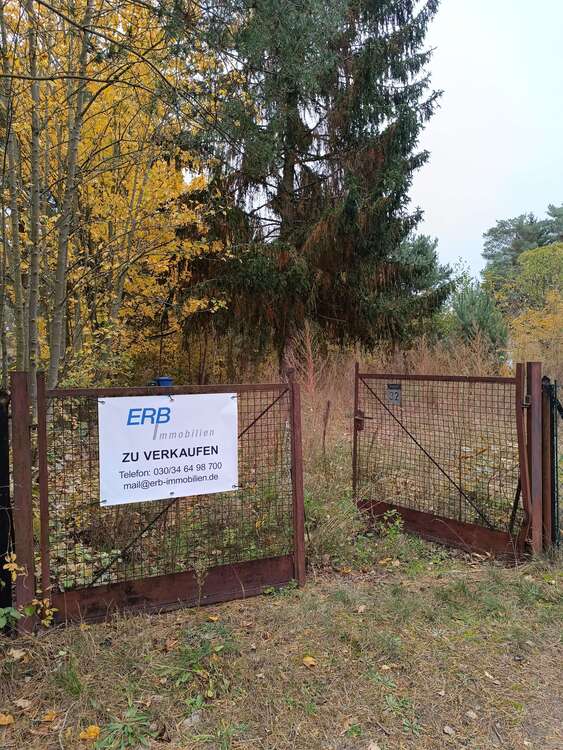 Thumbnail-Grundstück zu verkaufen in Königs Wusterhausen OT Zeesen 373.000,00 € 1061 m²