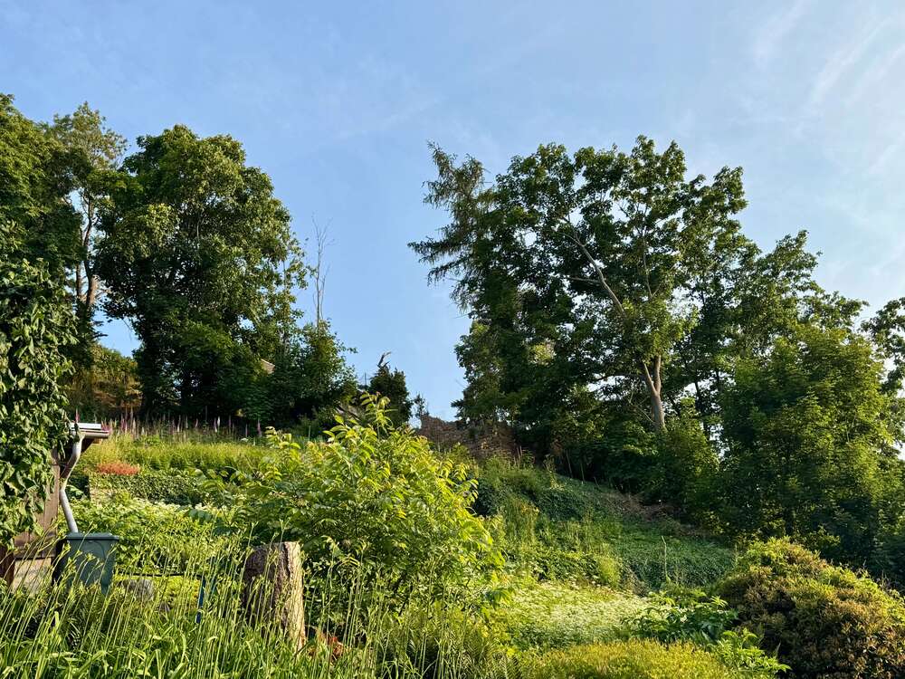 Thumbnail-Grundstück zu verkaufen in Meißen 139.000,00 € 1180 m²