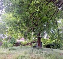 Thumbnail-Grundstück zu verkaufen in Berlin 860.000,00 € 1334 m²