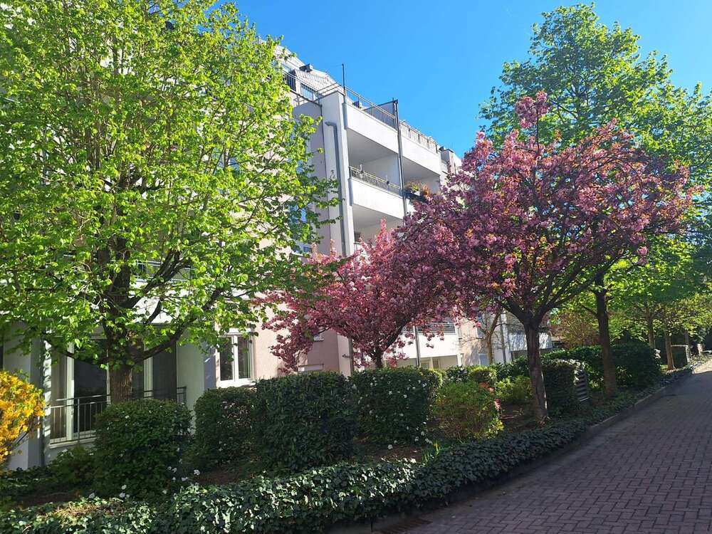 Thumbnail-Büro in Frankfurt 1.130,00 € 80 m²