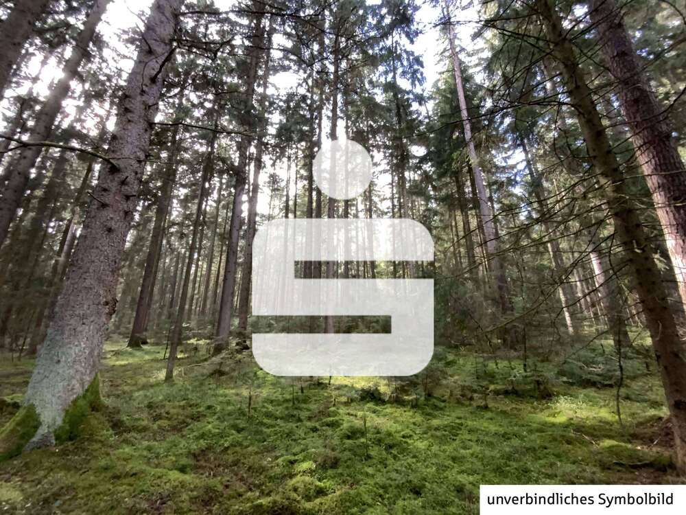 Thumbnail-Grundstück in Pfreimd 25.000,00 € 6580 m²