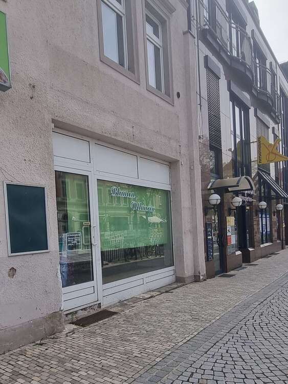 Thumbnail-Büro in Radebeul 505,00 € 76.8 m²