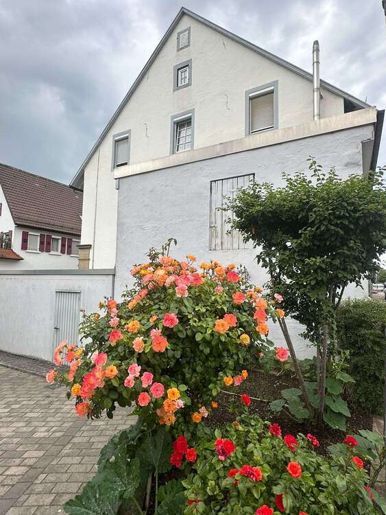 Thumbnail-Haus zum Kaufen in Löchgau 995.000,00 € 551 m²