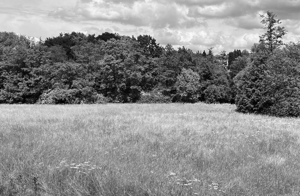 Thumbnail-Grundstück in Frankfurt am Main 4.200.000,00 € 5084 m²