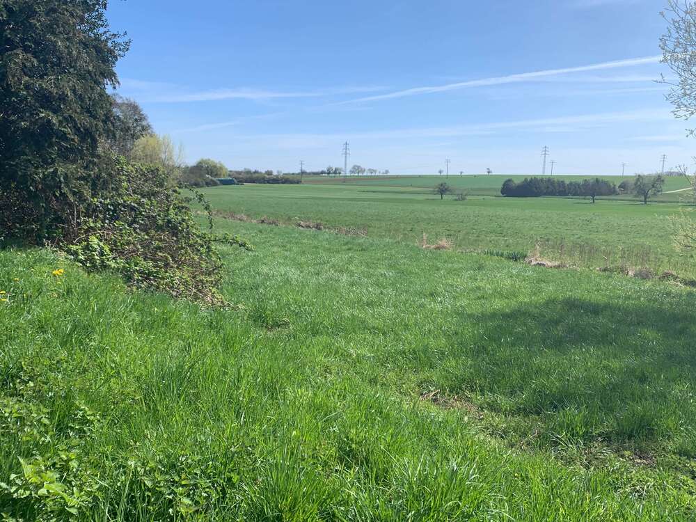 Thumbnail-Grundstück in Frankfurt am Main 4.800.000,00 € 5084 m²