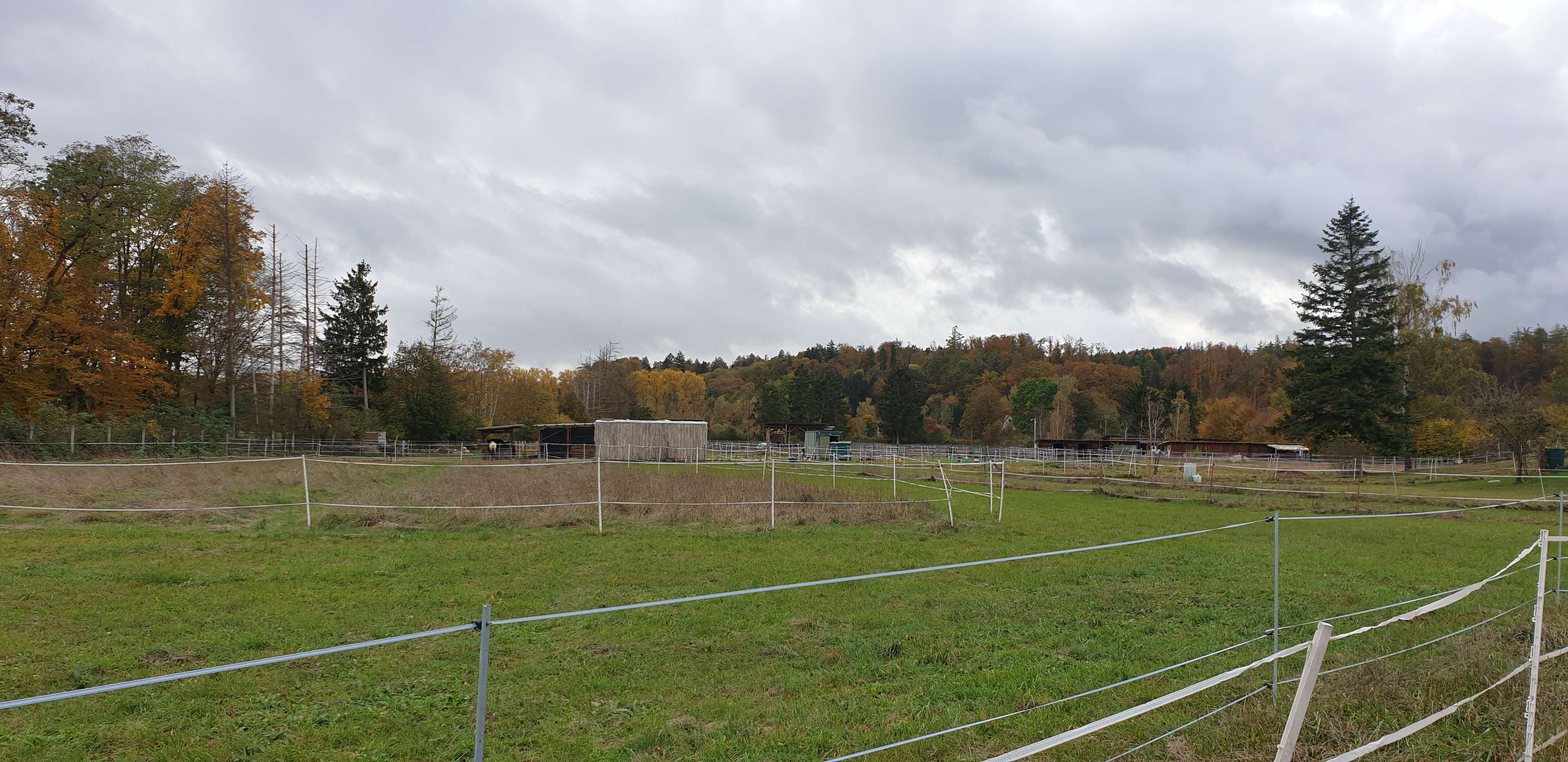 Thumbnail-Wohnung zum Kaufen in Augsburg 2.180.000,00 € 314 m²