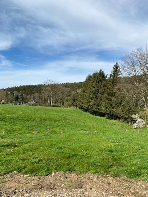 Thumbnail-Grundstück zu verkaufen in Roetgen Rott 649.000,00 € 4189 m²