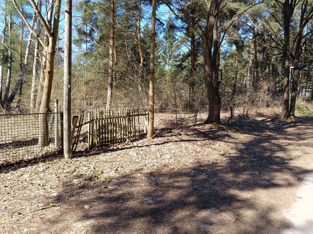 Thumbnail-Grundstück zu verkaufen in Mittenwalde OT Töpchin 447.000,00 € 3593 m²