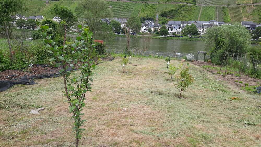 Thumbnail-Grundstück zu verkaufen in Zell-Kaimt 25.000,00 € 512 m²