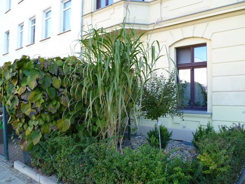 Thumbnail-Wohnung zum Kaufen in Magdeburg 135.000,00 € 109.04 m²