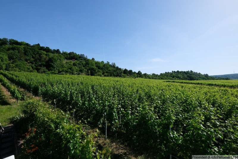 Thumbnail-Wohnung zum Mieten in Stuttgart 1.380,00 € 99.54 m²