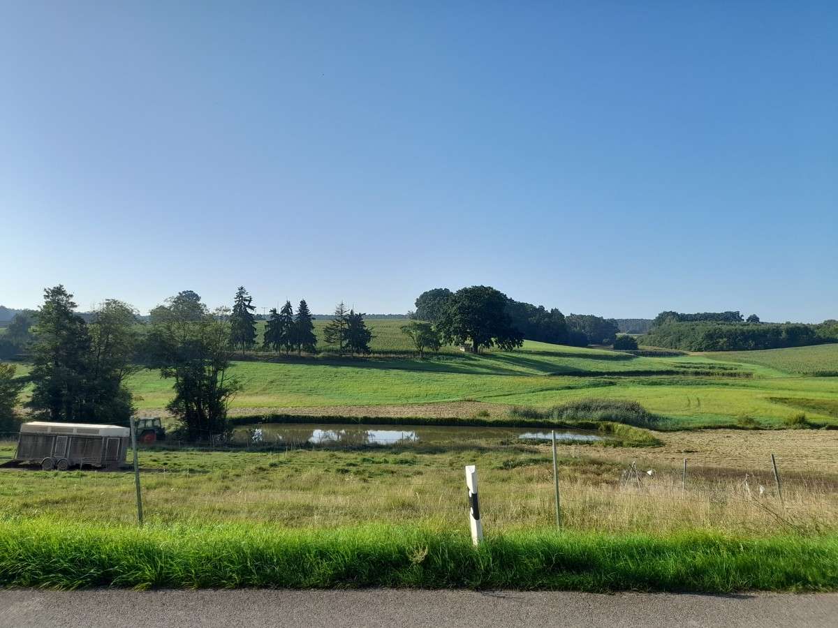 Thumbnail-Grundstück zu verkaufen in Kammerstein-Oberreichenbach 399.000,00 € 1601 m²