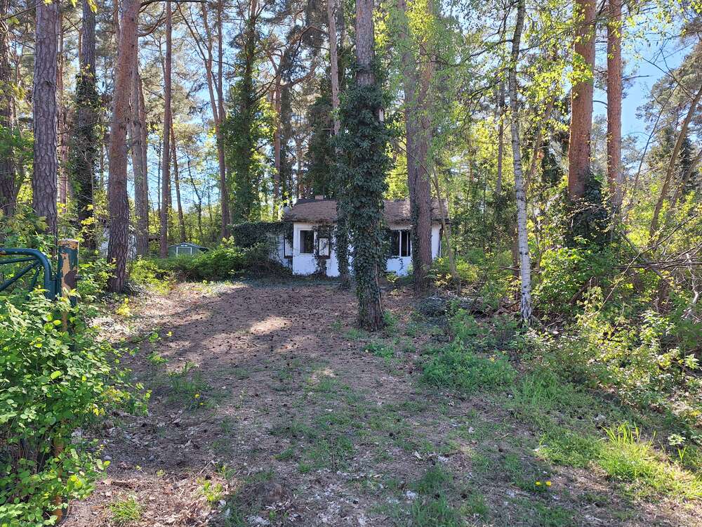 Thumbnail-Grundstück zu verkaufen in Zossen OT Kallinchen 335.000,00 € 787 m²