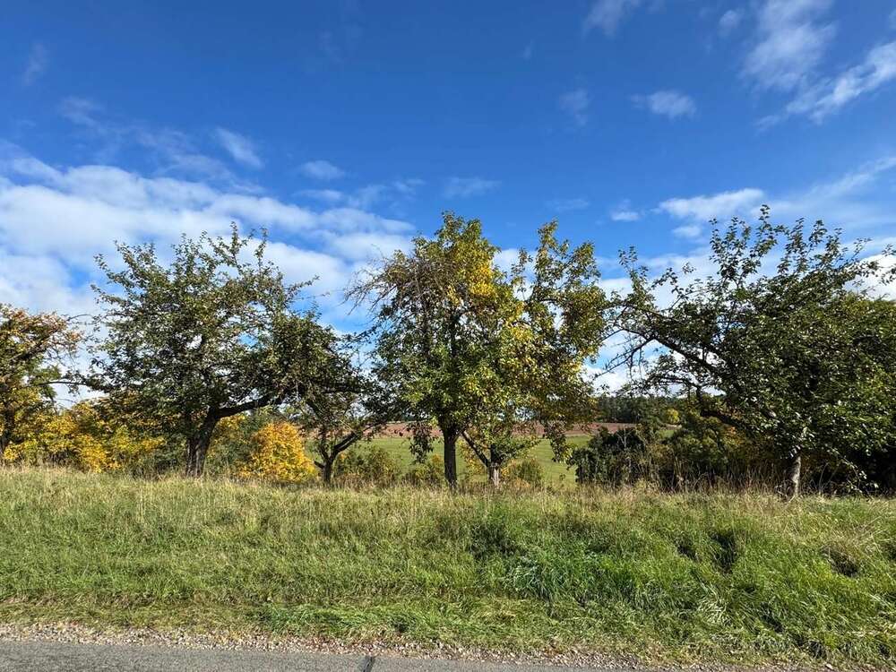 Thumbnail-Grundstück zu verkaufen in Thurnau Kemeritz 159.000,00 € 1868 m²