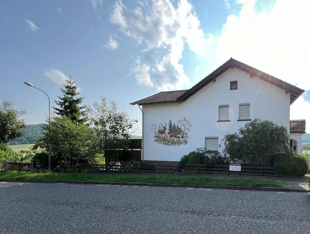 Thumbnail-Haus zum Kaufen in Haina 265.000,00 € 200 m²