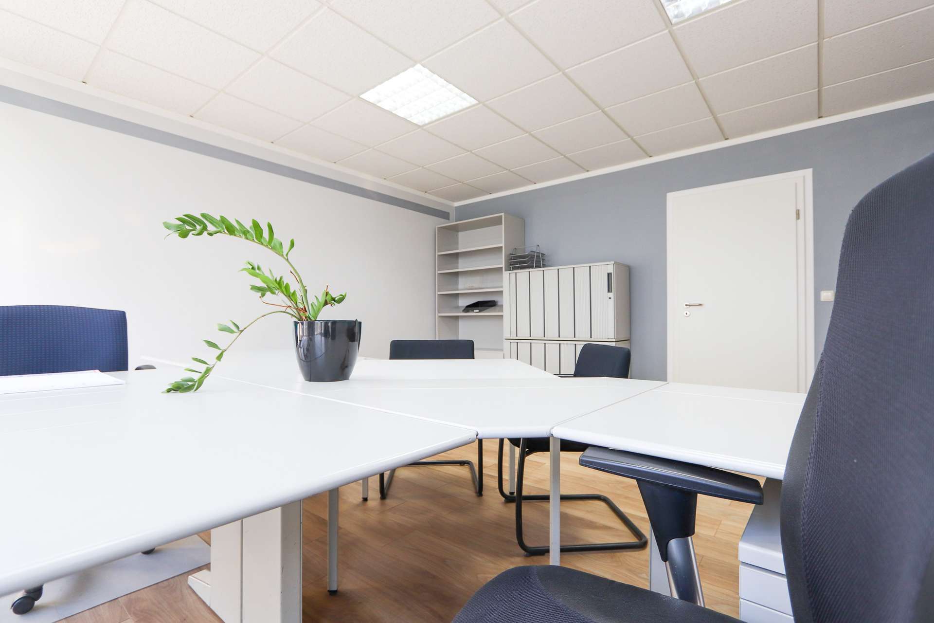 Thumbnail-Büro in Dresden 660,00 € 120 m²