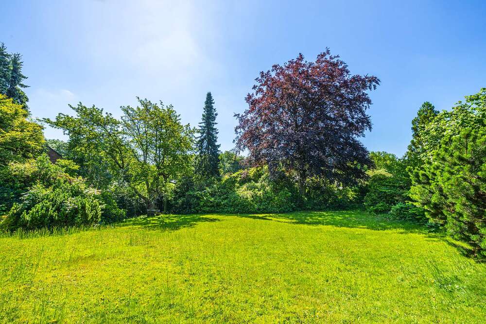 Thumbnail-Grundstück zu verkaufen in Leverkusen 295.000,00 € 425 m²