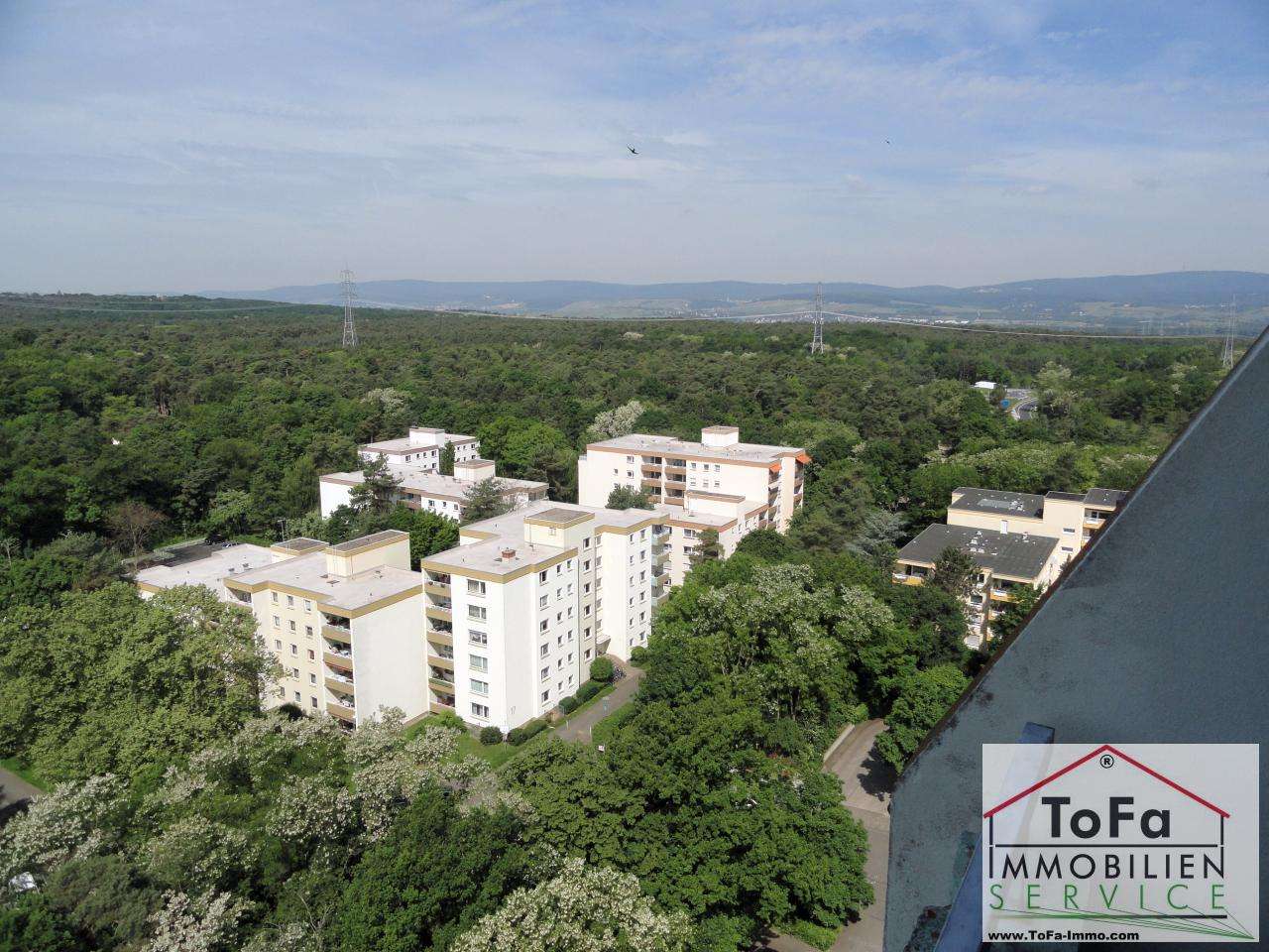 Thumbnail-Wohnung zum Mieten in Mainz 1.300,00 € 98 m²
