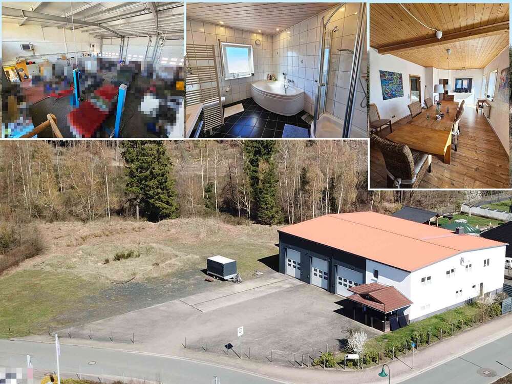 Thumbnail-Haus zum Kaufen in Burgwald 799.000,00 € 193 m²