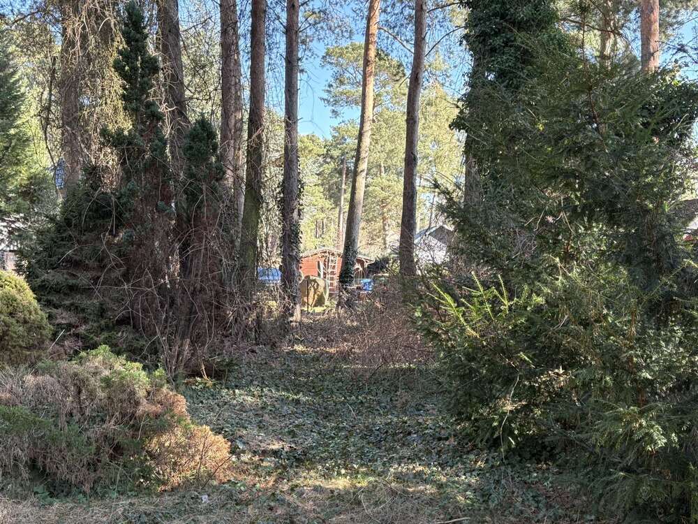 Thumbnail-Grundstück zu verkaufen in Hoppegarten OT Waldesruh 300.000,00 € 1120 m²