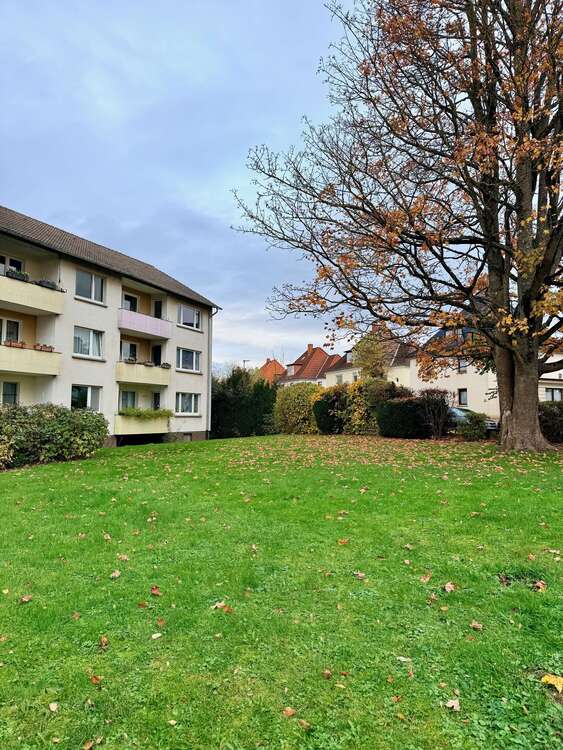 Thumbnail-Wohnung zum Mieten in Bad Münder 305,00 € 31 m²