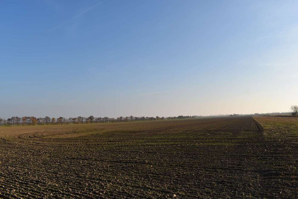 Thumbnail-Grundstück zu verkaufen in Wiedemar 115.000,00 € 1476 m²