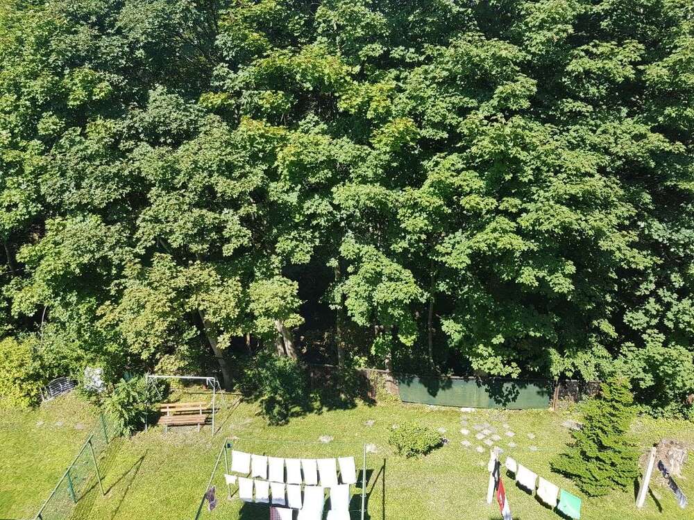 Thumbnail-Wohnung zum Mieten in Chemnitz 325,00 € 53 m²