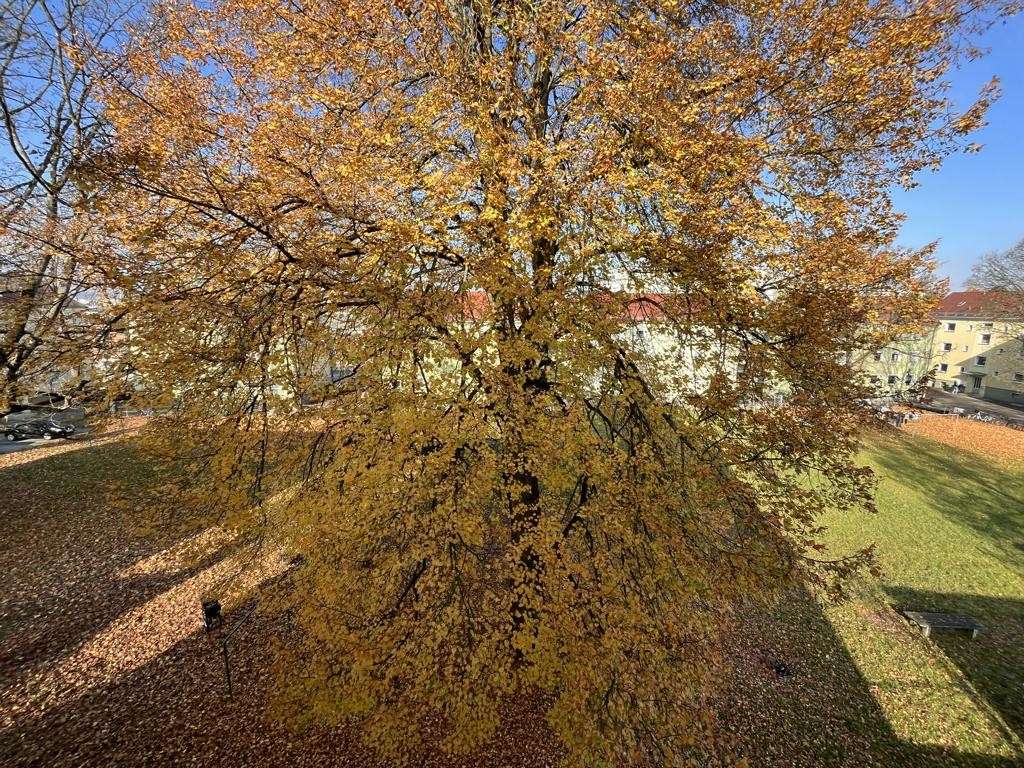 Thumbnail-Wohnung zum Kaufen in Regensburg 270.000,00 € 64.35 m²