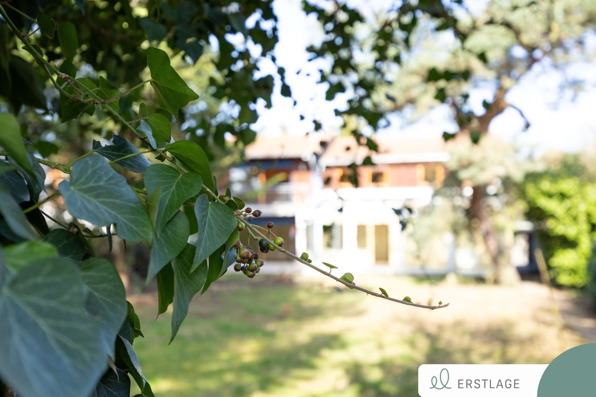 Thumbnail-Haus zum Kaufen in Ingelheim am Rhein 649.000,00 € 223.31 m²