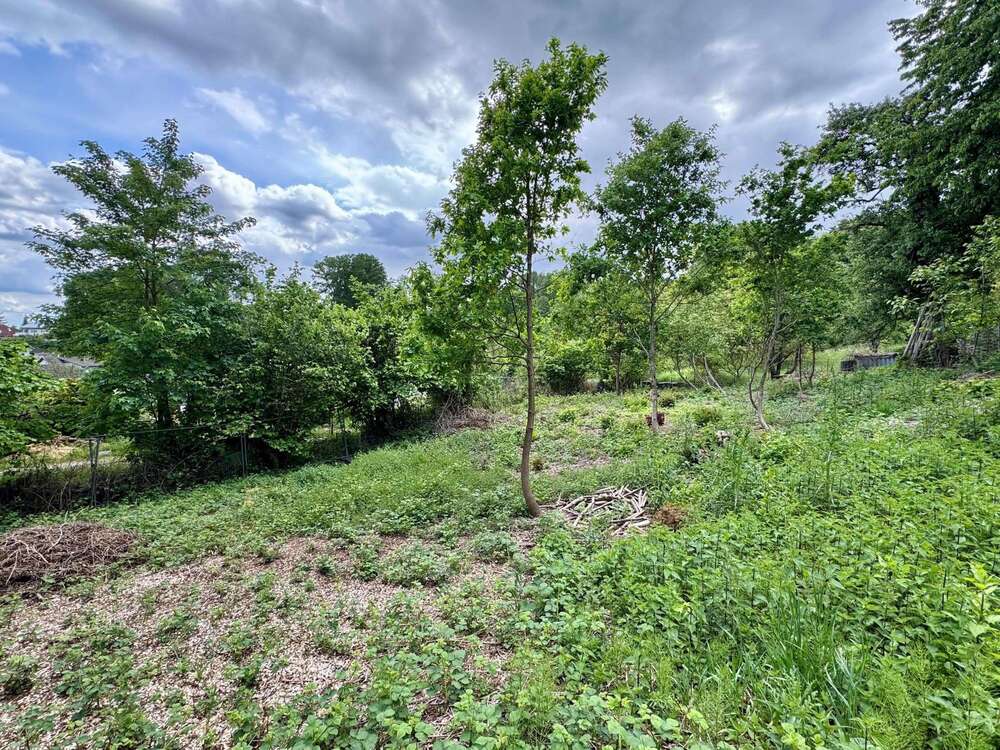 Thumbnail-Grundstück zu verkaufen in Reichartshausen 190.000,00 € 990 m²