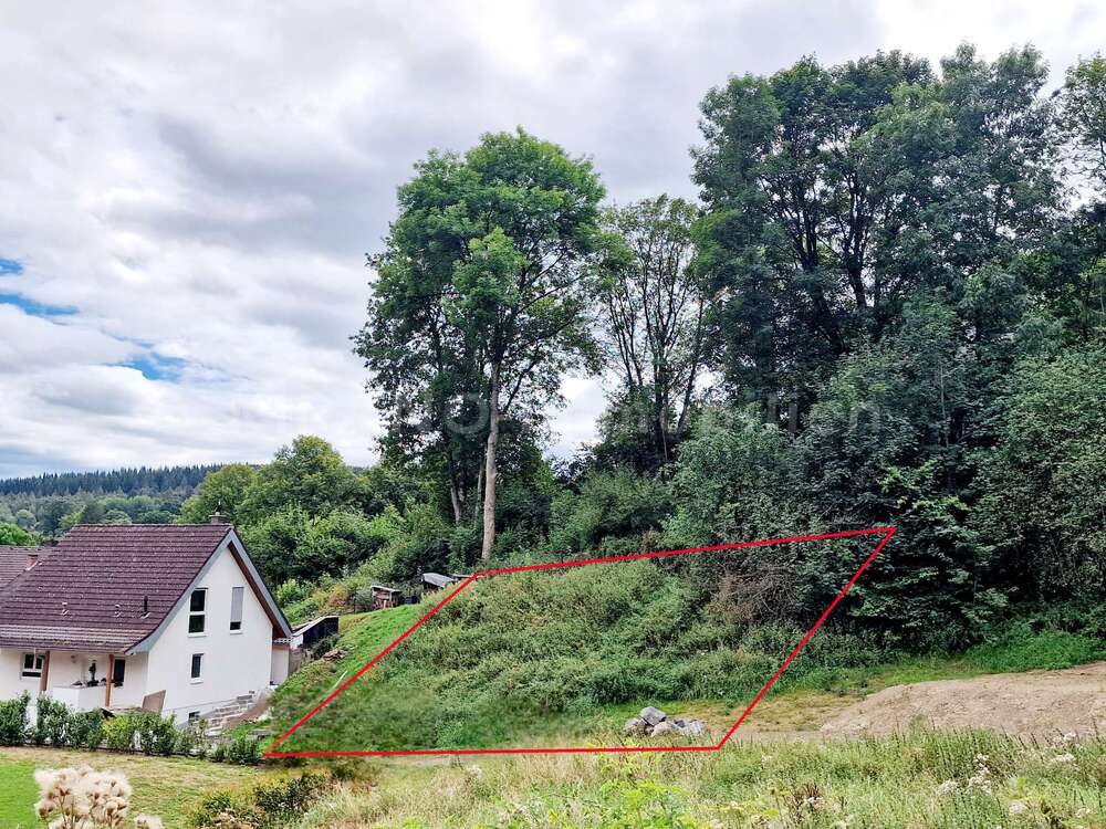 Thumbnail-Grundstück zu verkaufen in Dahlem 38.000,00 € 627 m²