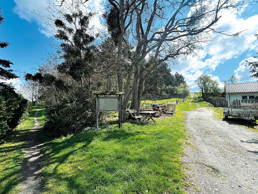 Thumbnail-Grundstück in Ilsenburg (Harz) OT Darlingerode 175.000,00 € 110298 m²