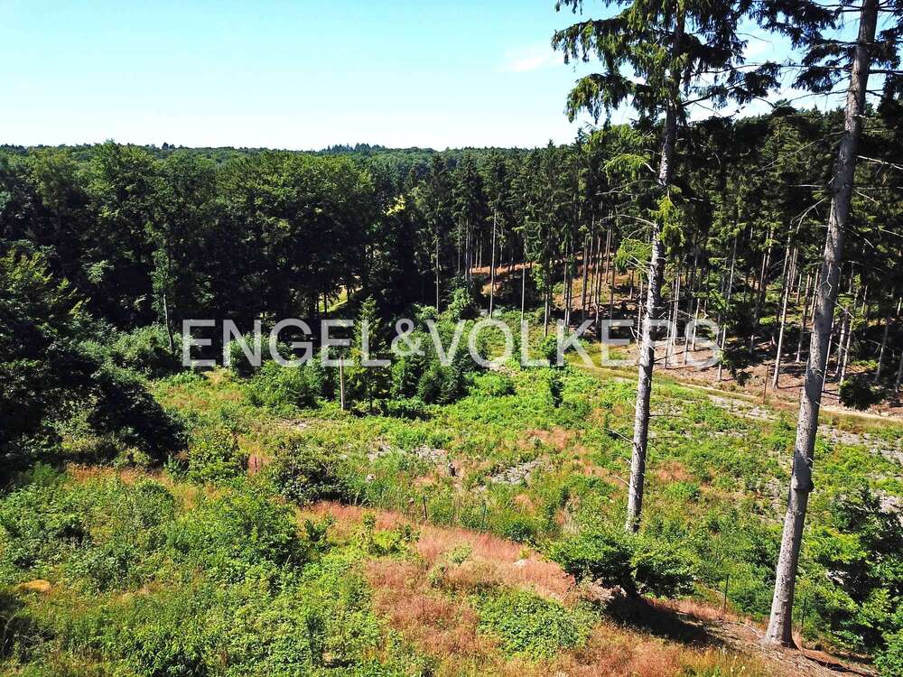 Thumbnail-Grundstück zu verkaufen in Seevetal 1.975.000,00 € 6673 m²