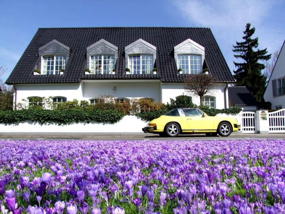 Thumbnail-Haus zum Kaufen in Schwabach Penzendorf 809.500,00 € 141 m²