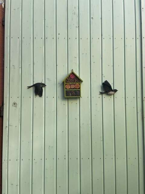 Thumbnail-Haus zum Kaufen in Neustadt-Diedesfeld 297.000,00 € 210 m²