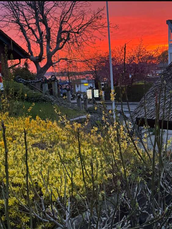 Thumbnail-Haus zum Kaufen in Laboe 825.000,00 € 162 m²