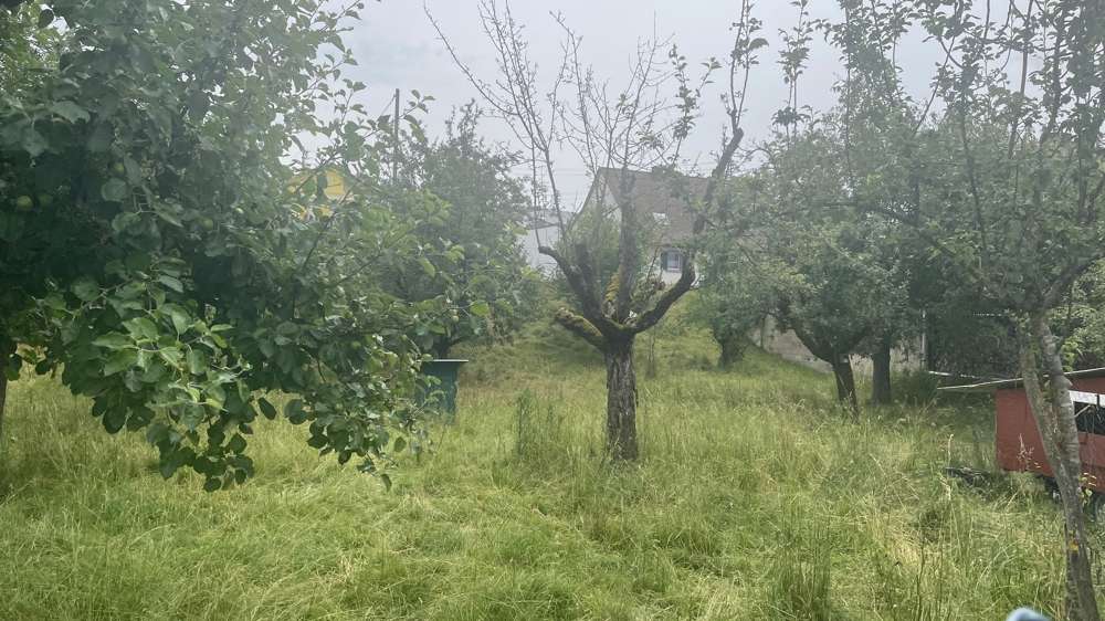 Thumbnail-Grundstück zu verkaufen in Hartheim am Rhein 383.500,00 € 1097 m²