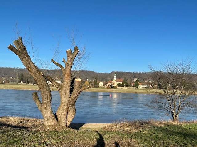 Thumbnail-Wohnung zum Kaufen in Dresden 179.000,00 € 60 m²