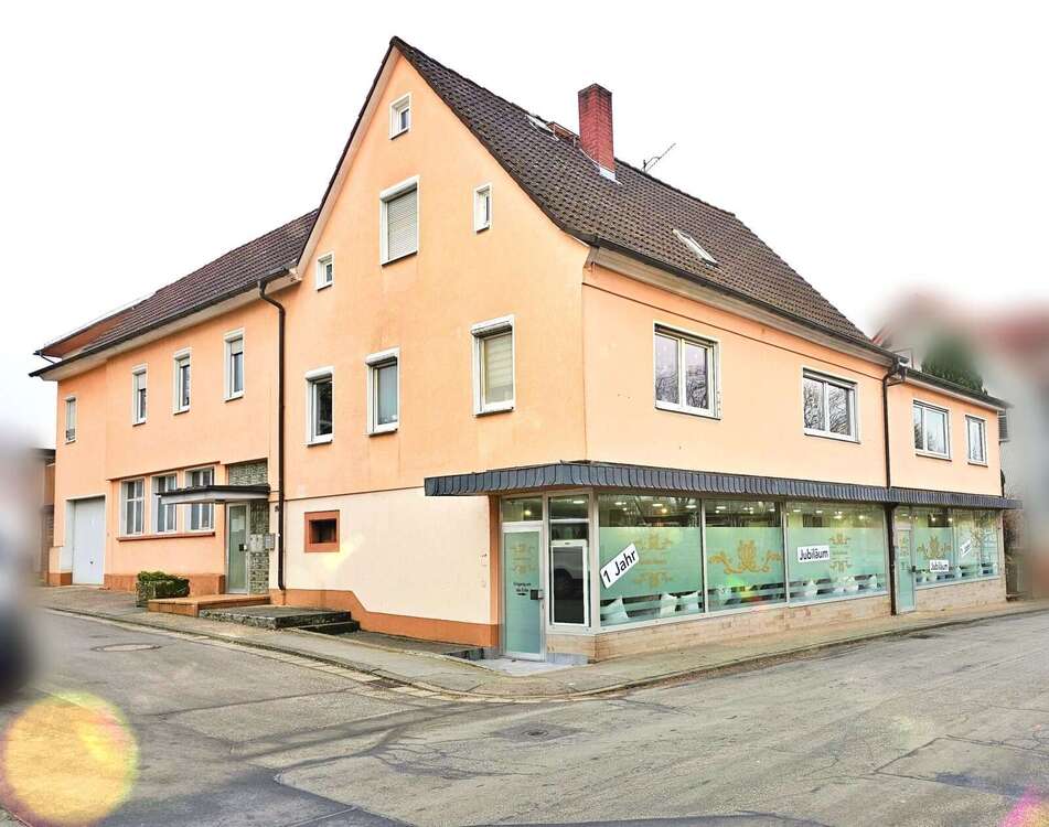 Thumbnail-Haus zum Kaufen in Michelstadt 539.000,00 € 292 m²