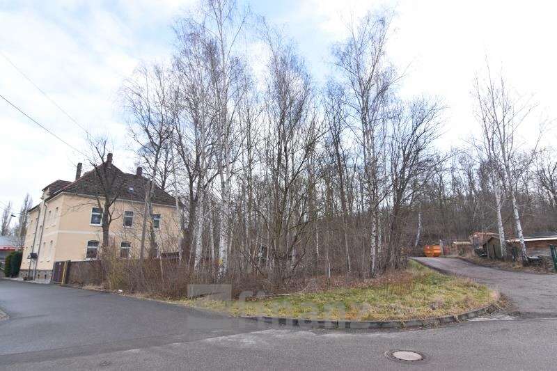 Thumbnail-Grundstück zu verkaufen in Zwickau 52.500,00 € 900 m²