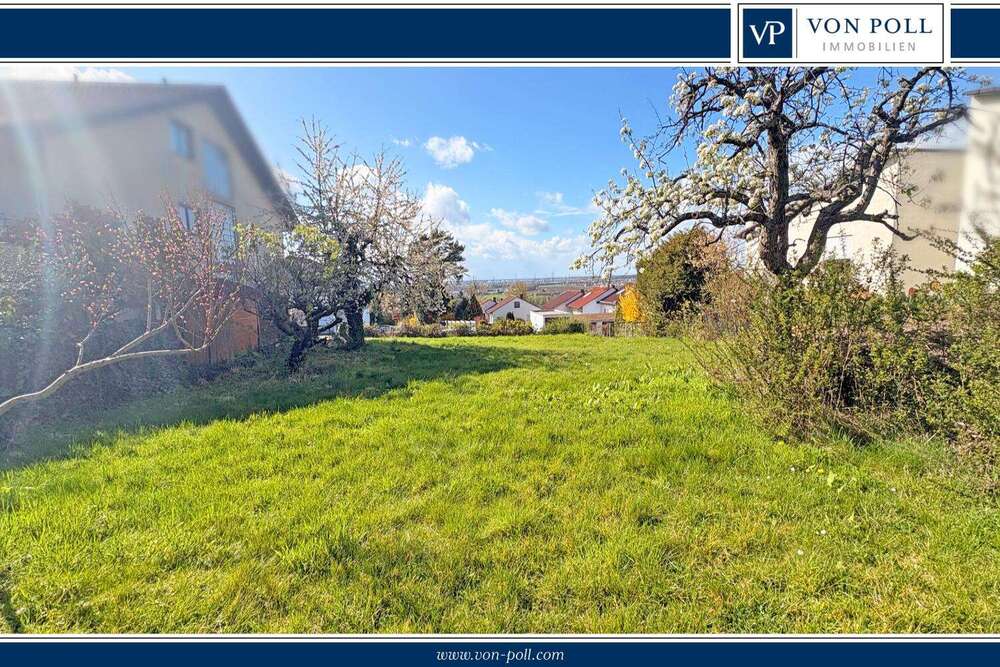 Thumbnail-Grundstück zu verkaufen in Weinheim Lützelsachsen 998.000,00 € 631 m²