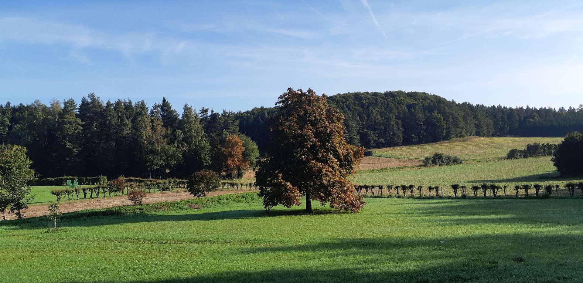 Thumbnail-Haus zum Kaufen in Gößweinstein 1.850.000,00 € 400 m²