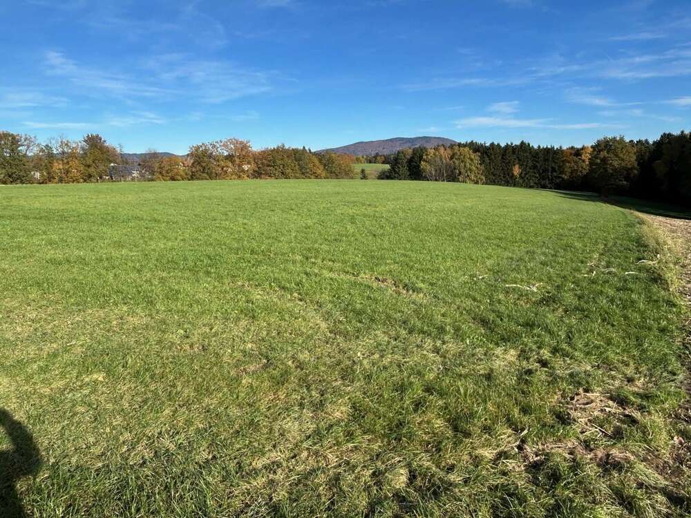 Thumbnail-Grundstück in Hengersberg 134.100,00 € 22350 m²