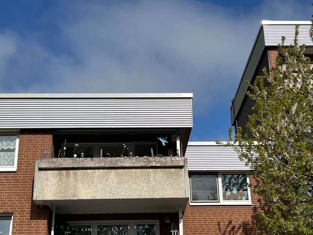 Thumbnail-Wohnung zum Kaufen in Springe 220.000,00 € 94.6 m²