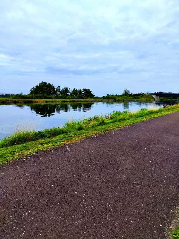 Thumbnail-Grundstück zu verkaufen in Hohenwarthe 110.000,00 € 730 m²