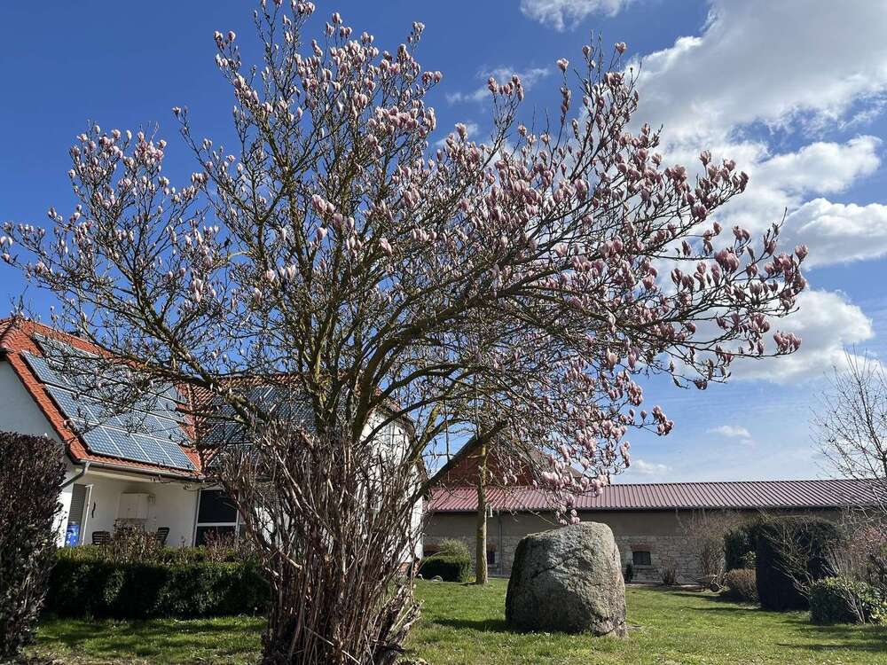 Thumbnail-Haus zum Kaufen in Frellstedt 415.000,00 € 210 m²