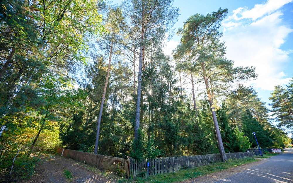 Thumbnail-Grundstück zu verkaufen in Wandlitz 210.000,00 € 639 m²