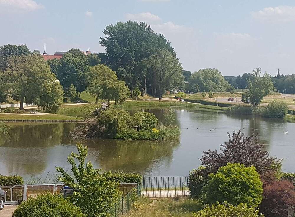 Thumbnail-Haus zum Kaufen in Demmin 399.900,00 € 207 m²